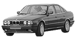 BMW E34 C220E Fault Code
